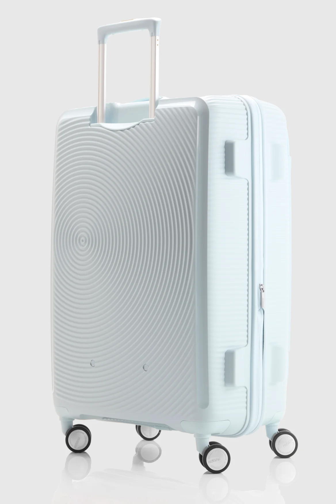 Curio Book 75cm Case - Image 6
